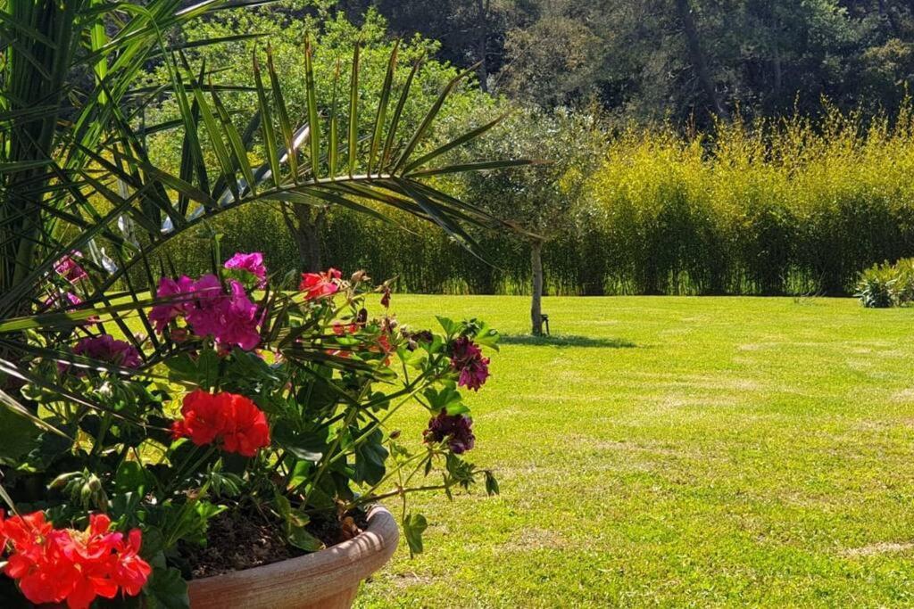 Les Prairies De Fenestrelle Spa & Piscine Au Calme オーバーニュ エクステリア 写真