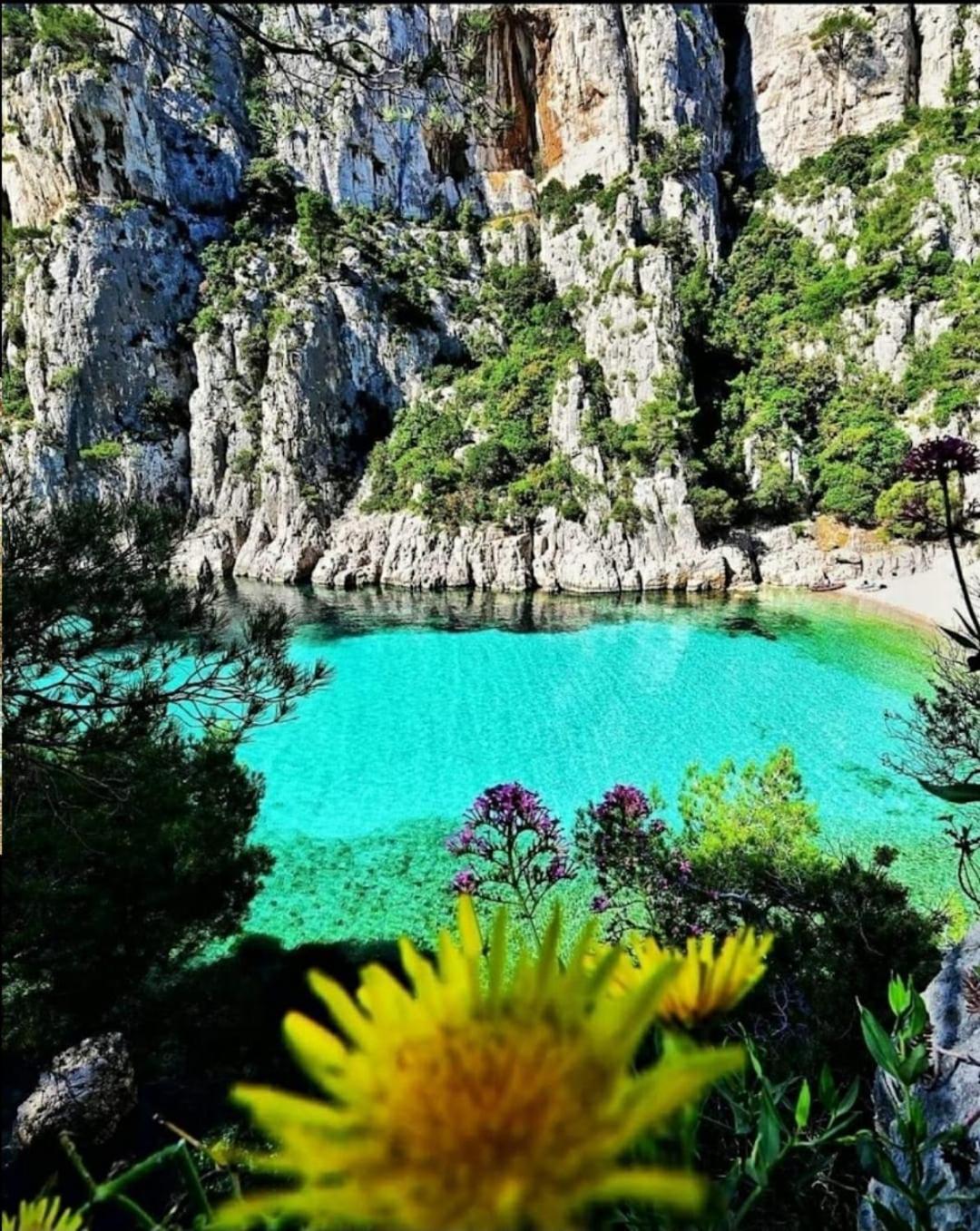 Les Prairies De Fenestrelle Spa & Piscine Au Calme オーバーニュ エクステリア 写真